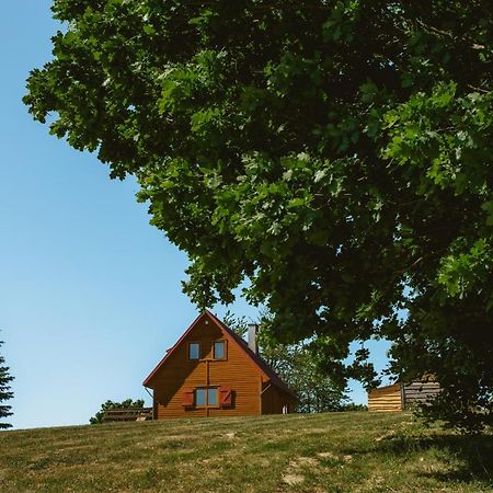 Widokowka Kaszuby Villa Mirachowo Ngoại thất bức ảnh